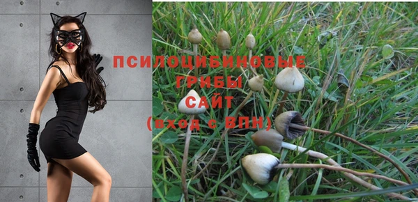 дурь Красноперекопск