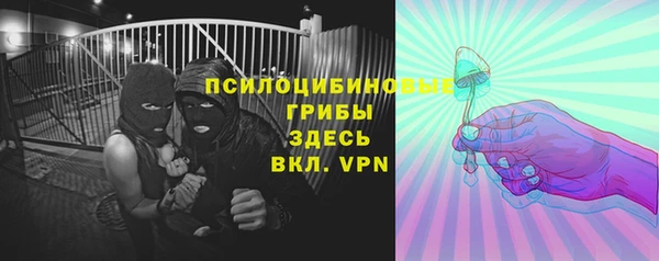 дмт Костерёво