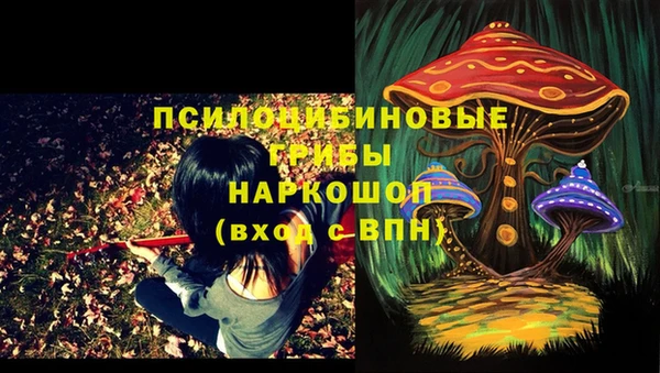 дмт Костерёво